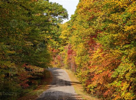 Road in Coopers Rock state park in West Virginia with fall colors 7221229 Stock Photo at Vecteezy