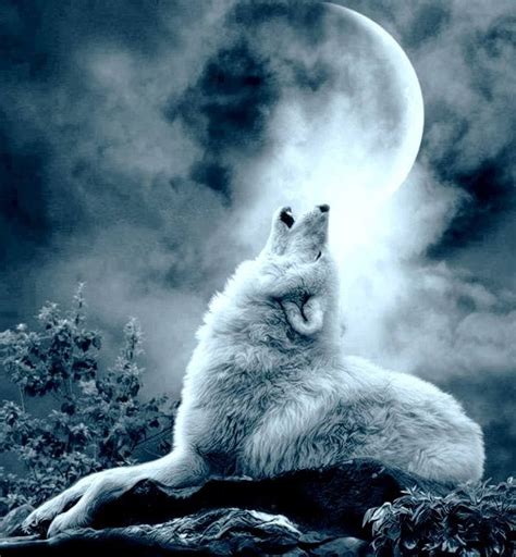 Pin de Stephen L. Smith en La Luna ️ | Fotos de lobo, Arte de lobos ...