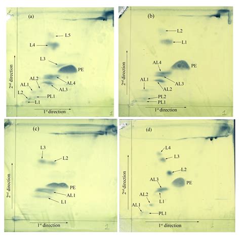 Polar lipid Extraction ~ RD's Blog