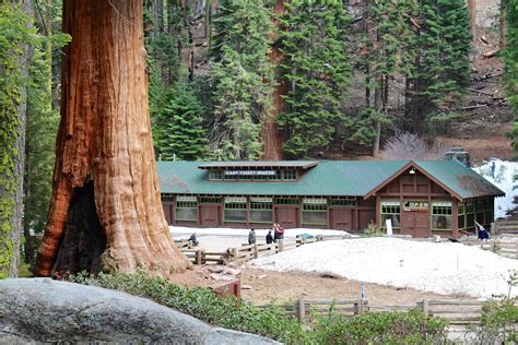 Giant Forest Museum | Natural Atlas