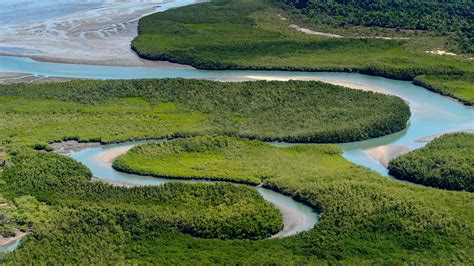 Aerial view of river, Bissagos Archipelago (Bijagos), Guinea-Bissau, UNESCO Biosphere Reserve ...