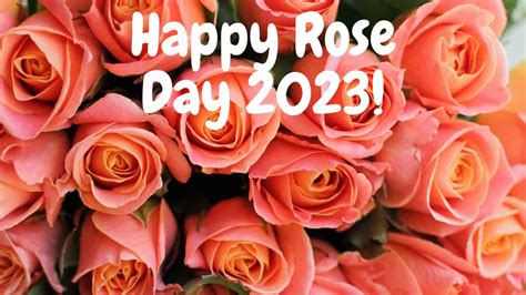 Rose Day 2023: Wishes, Quotes, Messages, WhatsApp, Facebook & Instagram ...