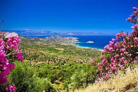 La flora - Creta - Grecia