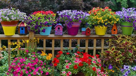 17 Most Colorful Garden Plants