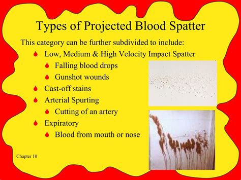 PPT - Blood Spatter Analysis PowerPoint Presentation, free download ...