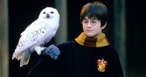 ‘Harry Potter’ Movies to Stream Online at Peacock