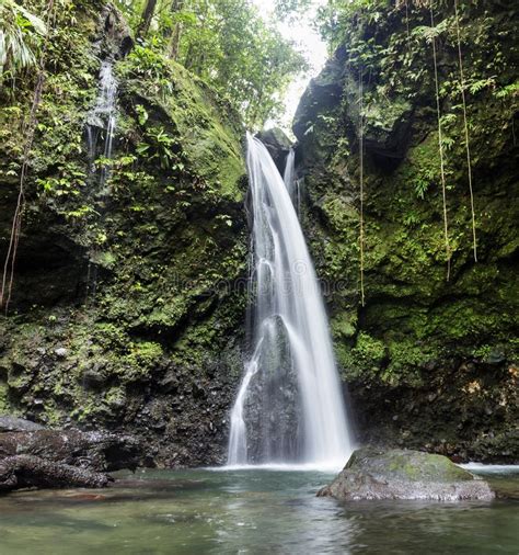 Jungle Waterfall in Dominica Island Stock Photo - Image of foliage ...