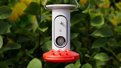 Bird Buddy Smart AI Hummingbird Feeder has an AI smart camera