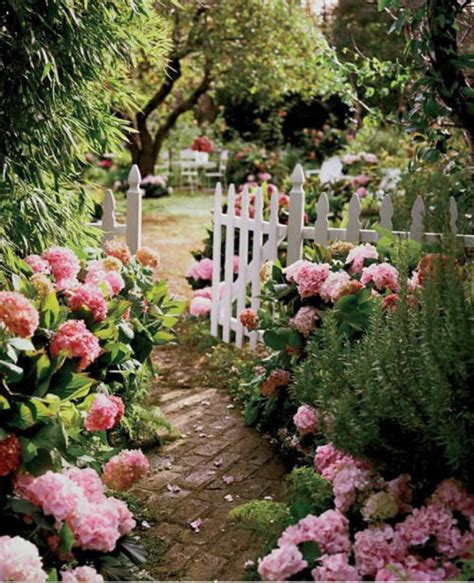 Pink Garden Pictures, Photos, and Images for Facebook, Tumblr ...