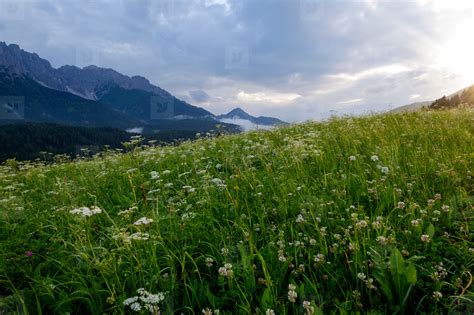 Rainy sunset on the Alps stock photo (124364) - YouWorkForThem