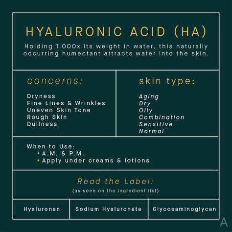 Read the Label: All Your Hyaluronic Acid Questions Answered | The AEDITION