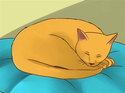 4 Ways to Treat Lice in Cats - wikiHow