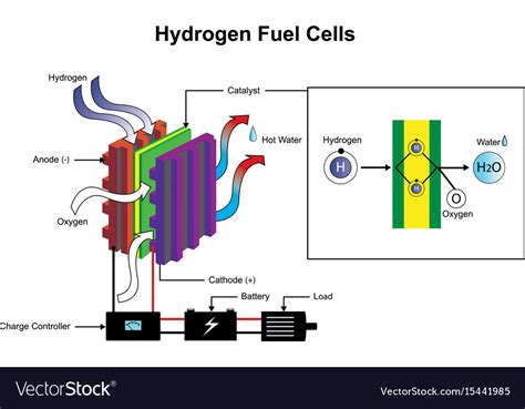 Hydrogen fuel cells diagram Royalty Free Vector Image