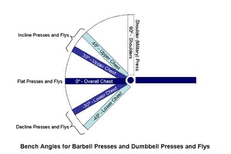 Bowflex 5.1 s Stowable Bench Review: Everything you need to know