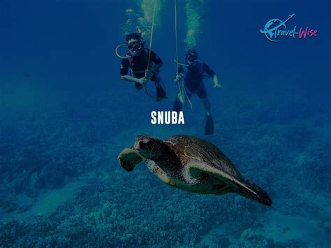 Snorkeling vs Scuba vs Snuba Diving: Difference | Travel-Wise