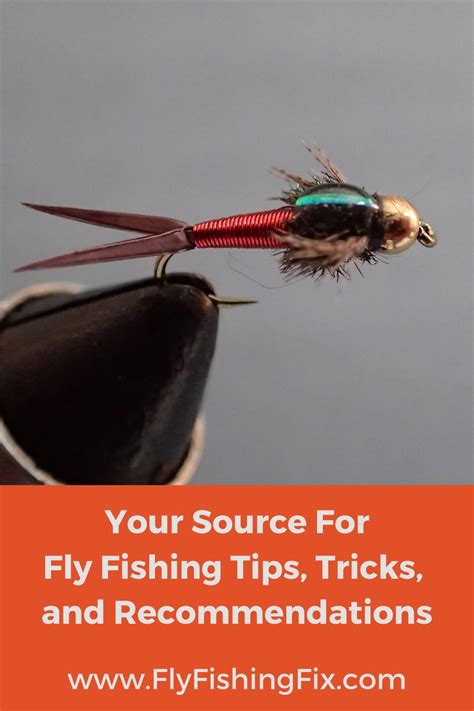 Fly Fishing Tips, Tricks and Recommendations For Beginners | Fly ...