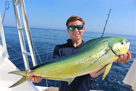 Dolphinfish Research Program Unlocks Mahi-Mahi Mysteries | FishTalk Magazine