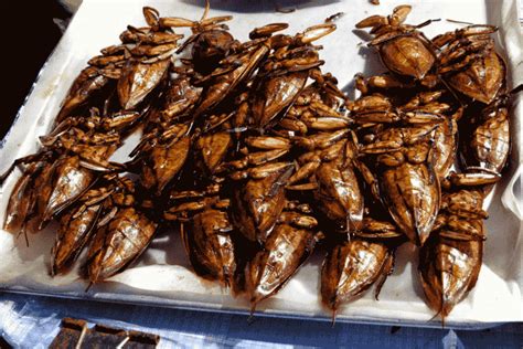 Deep Fried Insects - Thailand Travel Blog