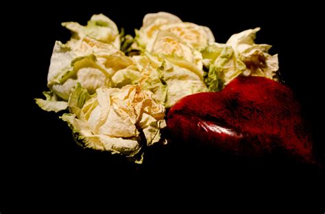 Dead Roses And Red Heart Free Stock Photo - Public Domain Pictures