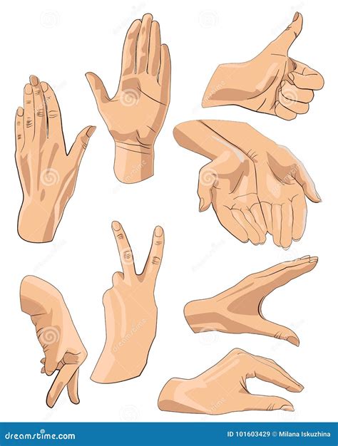 Set of Hands in Different Gestures Emotions and Signs Stock Vector - Illustration of expressing ...