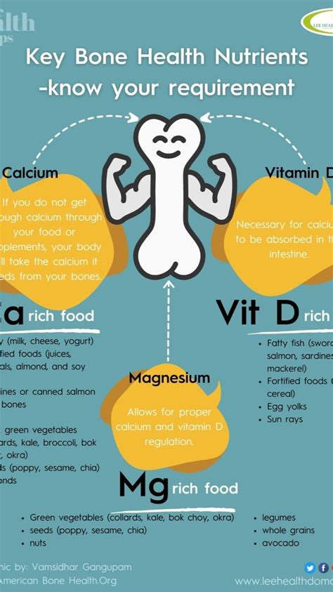 Key Bone Health Nutrients- Know your requirements | Calcium vitamins ...