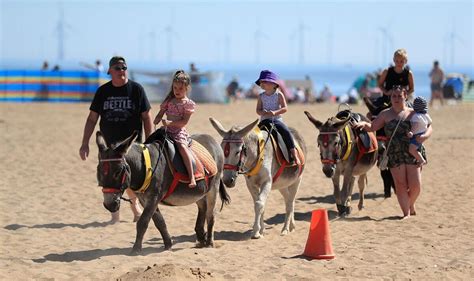 Donkey rides to be banned on Skegness beach due to climate change | UK ...