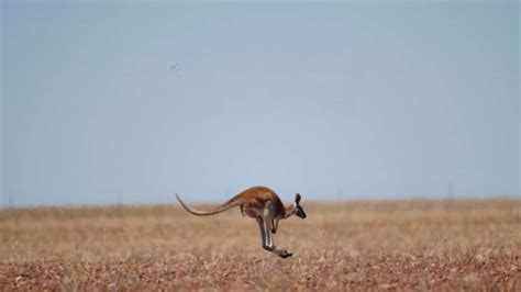 Australia's Smallest Town Is In Queensland