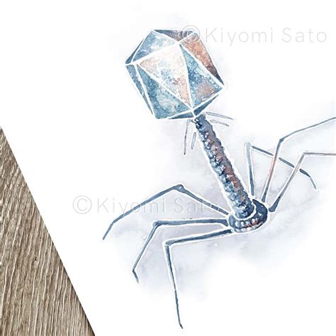 Abstract Bacteriophage Art Print Science Wall Decor - Etsy