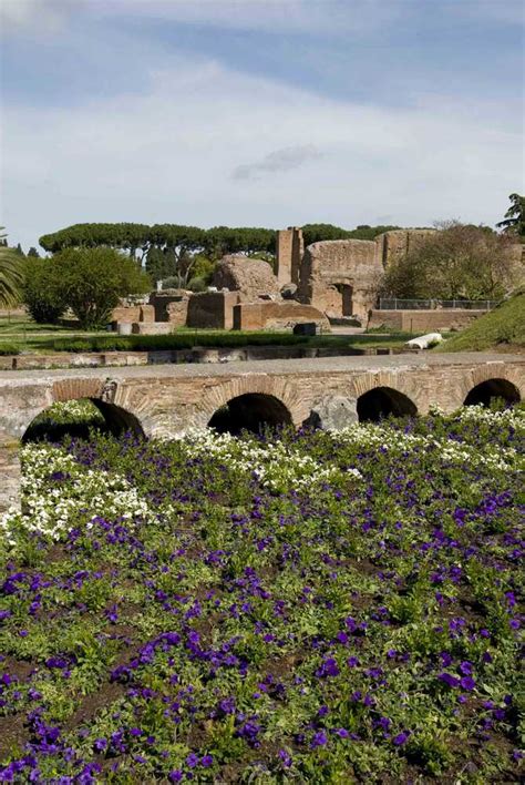 Tornano a fiorire gli orti e i giardini della Roma antica al Palatino ...