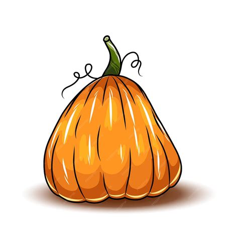 Premium Vector | Orange pumpkin different types of cartoon pumpkins halloween fall harvest ...