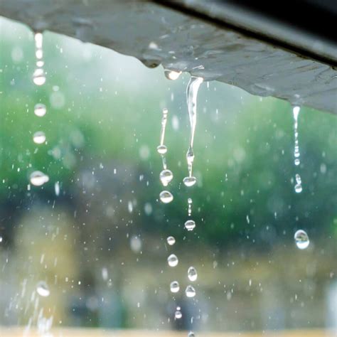 How to Stop a Roof Leak in the Rain: 7 Key Tips | McCoy Roofing