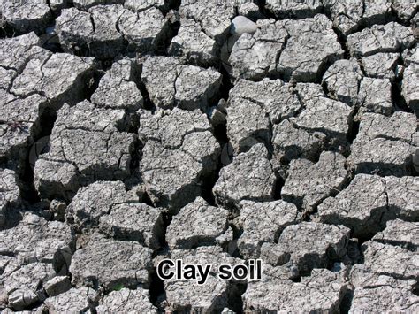 Clay soil - Types of soil structure - Types of soil structure - Rocks and Petrology - Photos