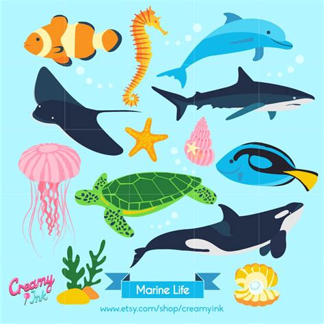 Sea life digital clip art featuring aquatic animals such as fish, sea turtle, shark, whale, sea ...