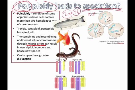 Polyploidy Breeding