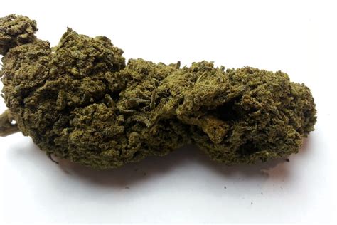 Caviar Gold Review | Marijuana Strains Review