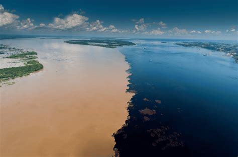 Manaus: Full-Day Tour on the Amazon River | GetYourGuide