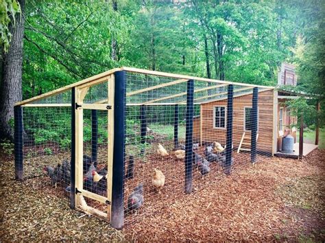 Chicken Run | Walk in chicken coop, Backyard chicken farming, Chicken coop designs