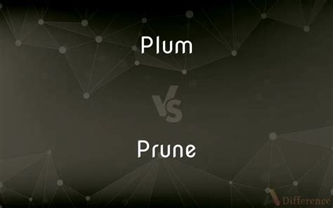 Plum vs. Prune — What’s the Difference?