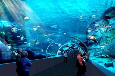 The Two Oceans Aquarium is an aquarium located at the Victoria & Alfred Waterfront in Cape Town ...