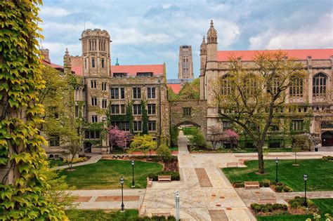 University of Chicago (Chicago, USA)