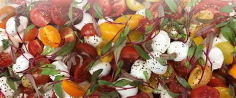 Roma Ciliegine Mozzarella and Baby Heirloom Tomato Salad