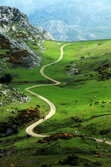 Winding path by Jorge Sanz Martin / 500px | Beautiful roads, Beautiful ...