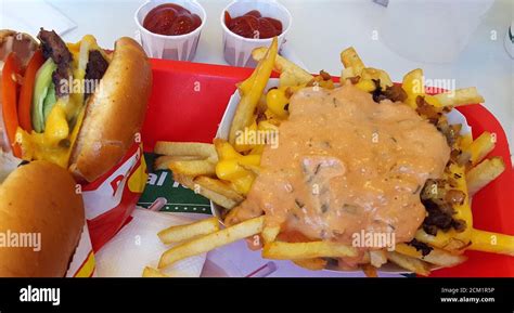 In-N-Out Burger Animal Style Fries and a Double-Double Burger, United ...