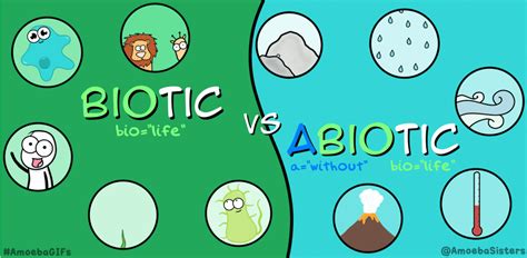 The Amoeba Sisters — Abiotic and biotic factors, know the difference!