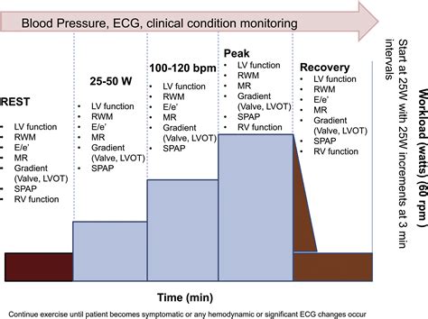 The Clinical Use of Stress Echocardiography in Non-Ischaemic Heart ...