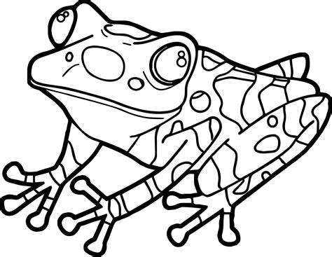 Realistic Frog Coloring Pages | Free download on ClipArtMag