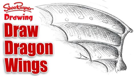 How to draw Dragon Wings? - YouTube