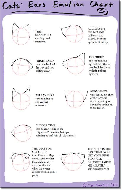 How To Draw Anime Cats Ears 63+ Ideas