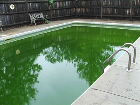 Why Is My Pool Still Green Even Though Chlorine Is High? 3 Reasons