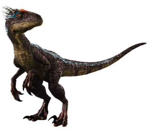 Jp3 Male Raptor by psittacosaurus on DeviantArt